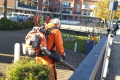 2023-11-15-Taglio-erba-giardino-S.Martino-Vecchio-4