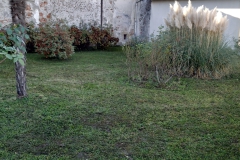 2023-11-15-Taglio-erba-giardino-S.Martino-Vecchio-5