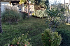 2023-11-15-Taglio-erba-giardino-S.Martino-Vecchio-6