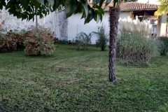 2023-11-15-Taglio-erba-giardino-S.Martino-Vecchio-7