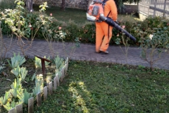 2023-11-15-Taglio-erba-giardino-S.Martino-Vecchio-8