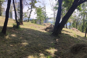 2023 - Taglio erba in sede (09.08.2023)