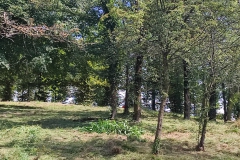 2023-08-09-Taglio-erba-in-sede-2