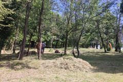 2023-08-09-Taglio-erba-in-sede-4