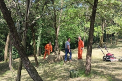 2023-08-09-Taglio-erba-in-sede-5