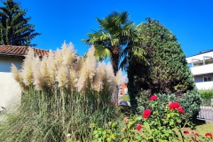 2023-09-13-Taglio-erba-S.Martino-Vecchio-8