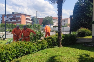 2023 - Taglio erba San Martino Vecchio (31.05.2023)