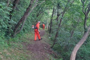 2023 - Taglio erba sentiero 402 (06.07.2023)