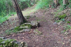 Taglio-erba-sentiero-402-1