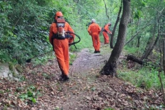 Taglio-erba-sentiero-402-3