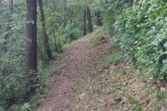 Taglio-erba-sentiero-402-4