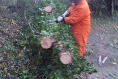 2023-11-29-Taglio-pianta-su-pista-ciclabile-Valmarina-1