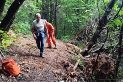 2023-06-14-Taglio-piante-1