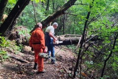 2023-06-14-Taglio-piante-10