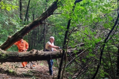 2023-06-14-Taglio-piante-13