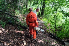 2023-06-14-Taglio-piante-14