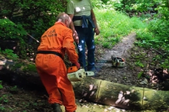 2023-06-14-Taglio-piante-15