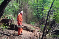 2023-06-14-Taglio-piante-2