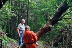 2023-06-14-Taglio-piante-3