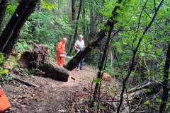 2023-06-14-Taglio-piante-4