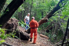 2023-06-14-Taglio-piante-6