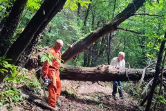 2023-06-14-Taglio-piante-9