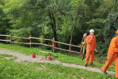 2023-08-02-Taglio-piante-in-pineta-ponte-nuovo-10