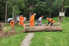 2023-08-02-Taglio-piante-in-pineta-ponte-nuovo-12