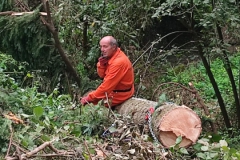 2023-08-02-Taglio-piante-in-pineta-ponte-nuovo-13