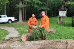 2023-08-02-Taglio-piante-in-pineta-ponte-nuovo-15