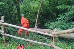 2023-08-02-Taglio-piante-in-pineta-ponte-nuovo-18