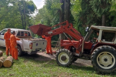 2023-08-02-Taglio-piante-in-pineta-ponte-nuovo-2