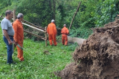 2023-08-02-Taglio-piante-in-pineta-ponte-nuovo-24