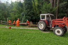 2023-08-02-Taglio-piante-in-pineta-ponte-nuovo-25