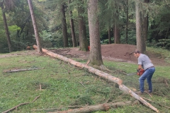 2023-08-02-Taglio-piante-in-pineta-ponte-nuovo-5