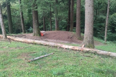 2023-08-02-Taglio-piante-in-pineta-ponte-nuovo-6