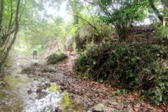 2023-09-20-Taglio-piante-nel-Gardellone-sotto-il-don-Luis-1