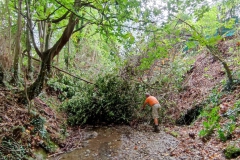 2023-09-20-Taglio-piante-nel-Gardellone-sotto-il-don-Luis-12