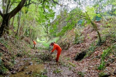 2023-09-20-Taglio-piante-nel-Gardellone-sotto-il-don-Luis-13