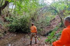 2023-09-20-Taglio-piante-nel-Gardellone-sotto-il-don-Luis-14