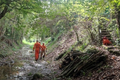 2023-09-20-Taglio-piante-nel-Gardellone-sotto-il-don-Luis-2