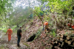 2023-09-20-Taglio-piante-nel-Gardellone-sotto-il-don-Luis-3