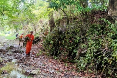 2023-09-20-Taglio-piante-nel-Gardellone-sotto-il-don-Luis-5