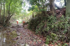 2023-09-20-Taglio-piante-nel-Gardellone-sotto-il-don-Luis-7