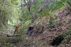 2023-09-20-Taglio-piante-nel-Gardellone-sotto-il-don-Luis-8