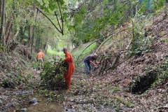 2023-09-20-Taglio-piante-nel-Gardellone-sotto-il-don-Luis-9
