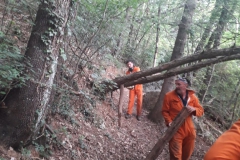 2023-07-29-Taglio-piante-sul-sentiero-3