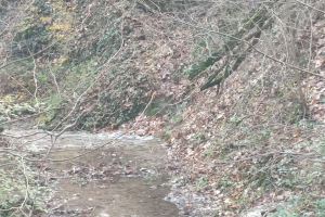 2023 -  Taglio piante sul Gardellone (06.12.2023)