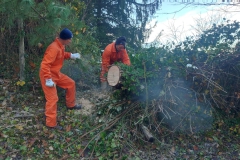 2023-12-06-Taglio-piante-sul-Gardellone-10