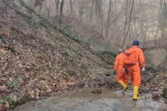 2023-12-06-Taglio-piante-sul-Gardellone-6